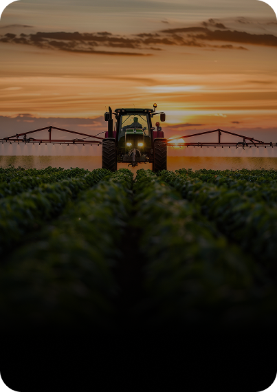 Seed Agro Marketing – campo ao entardecer